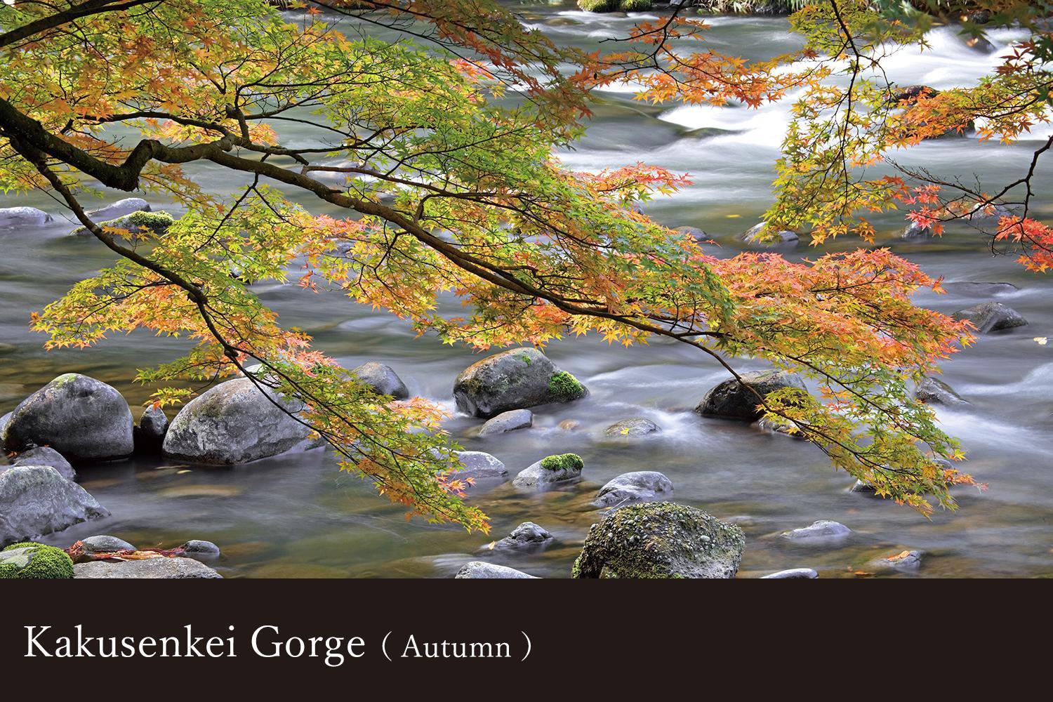 Yamanaka Onsen Kissho Yamanaka Hotel Kaga  Bagian luar foto